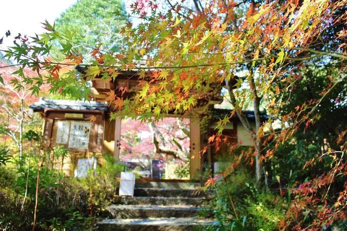 🏛️ 신의 창고 사원(진조지) 이미지 1